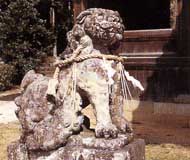 丹生神社の狛犬