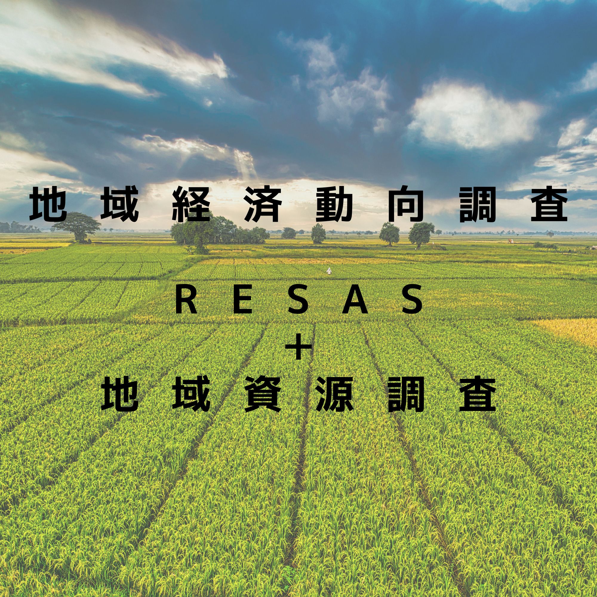 地域経済動向調査報告書