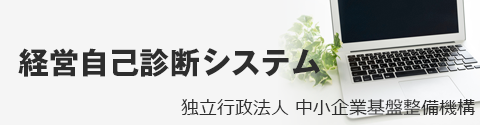 経営自己診断システム