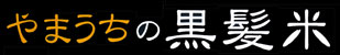 やまうちの黒髪米